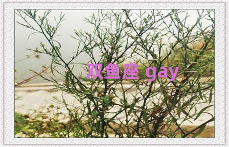 双鱼座 gay